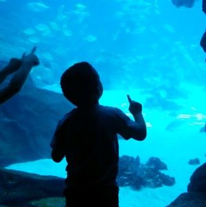 Meet your Posher, Tracee